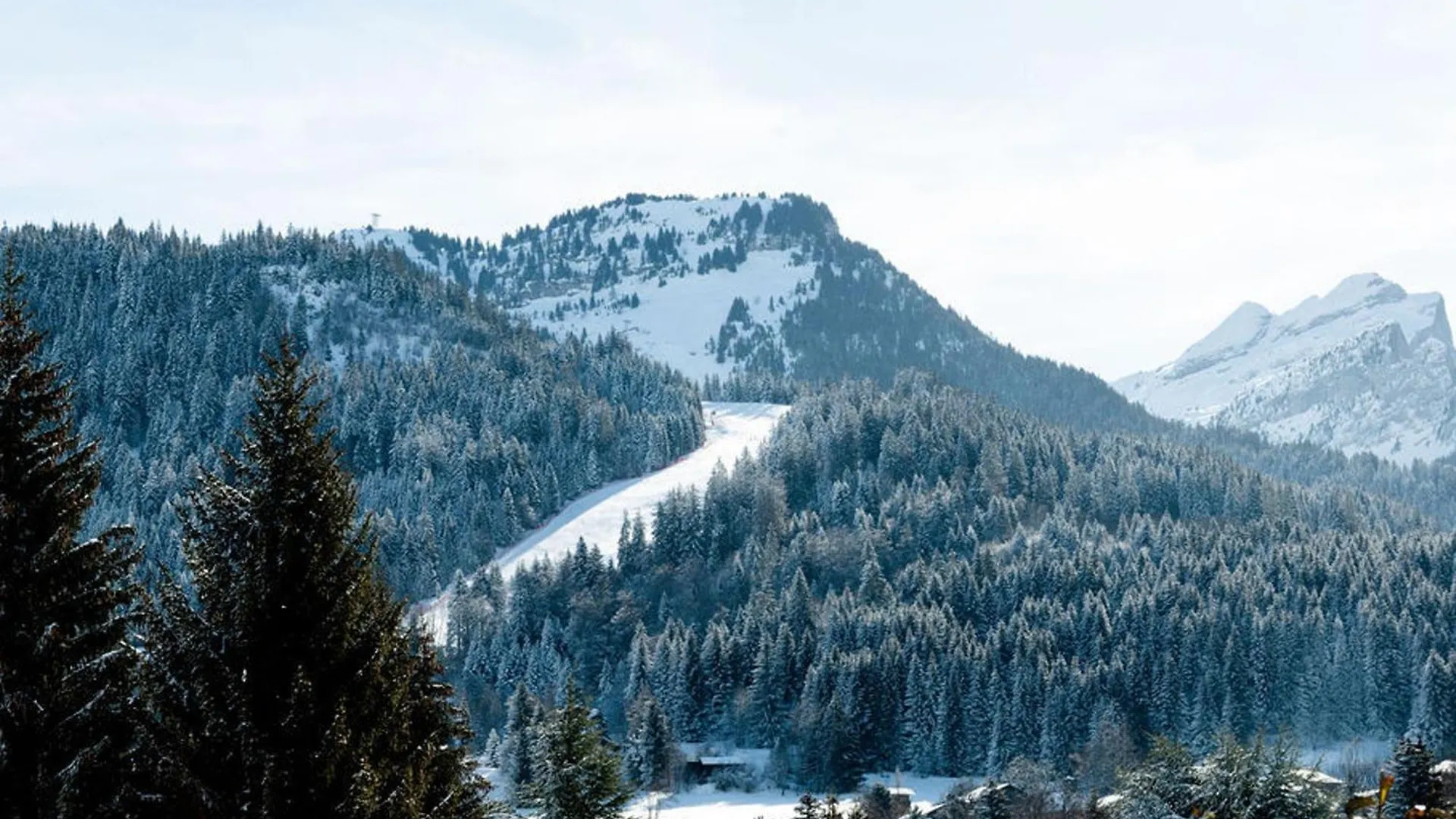 Studio Cabine Renove Pres Ski Bus, 4 Couchages - Fr-1-572-301 Araches-la-Frasse 0*,